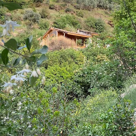 Sirince Magara Deresi Evleri. Chalet Selcuk