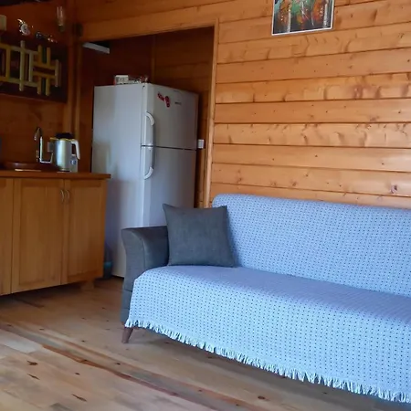 Sirince Magara Deresi Evleri. Chalet *